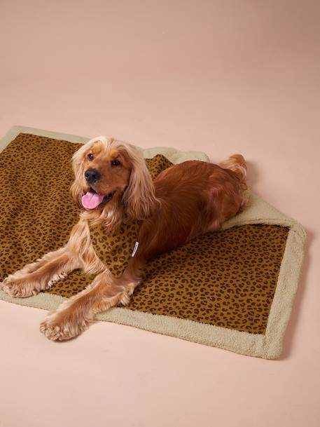 Tapis / plaid nomade pour chien marron imprimé+rayé vert 1 - vertbaudet enfant 