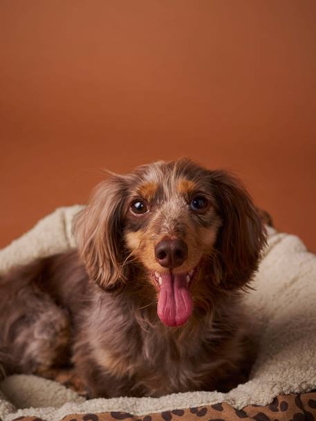 Panier matelassé pour chat et chiens marron imprimé 2 - vertbaudet enfant 