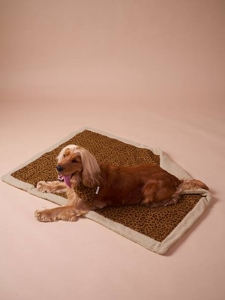 Tapis / plaid nomade pour chien marron imprimé+rayé vert 2 - vertbaudet enfant 