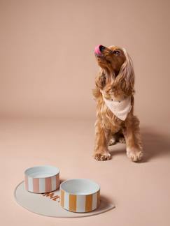 Linge de maison et décoration-Décoration-Gamelle en céramique pour chien