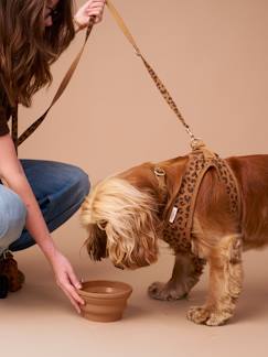 Linge de maison et décoration-Décoration-Gamelle en silicone rétractable pour chien et chat