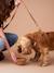 Gamelle en silicone rétractable pour chien et chat camel 1 - vertbaudet enfant 