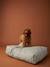 Matelas XL pour chien rayé vert 1 - vertbaudet enfant 