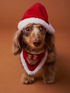 Linge de maison et décoration-Décoration-Animaux de compagnie-Collier bandana + bonnet de Noël pour chien