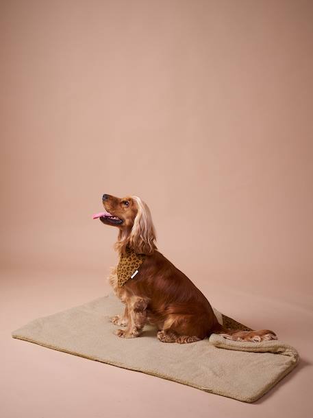 Tapis / plaid nomade pour chien marron imprimé+rayé vert 3 - vertbaudet enfant 