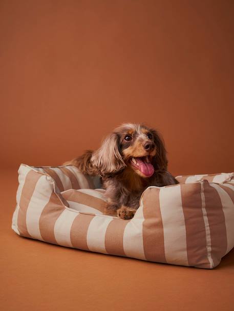 Panier matelassé pour chiens, disponible en 2 tailles noisette+rayé blanc 9 - vertbaudet enfant 