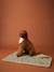 Tapis / plaid nomade pour chien marron imprimé+rayé vert 8 - vertbaudet enfant 