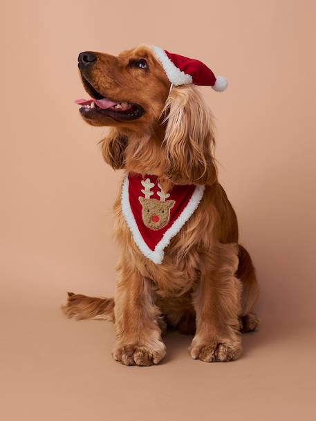 Collier bandana + bonnet de Noël pour chien rouge 3 - vertbaudet enfant 