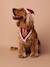Collier bandana + bonnet de Noël pour chien rouge 3 - vertbaudet enfant 
