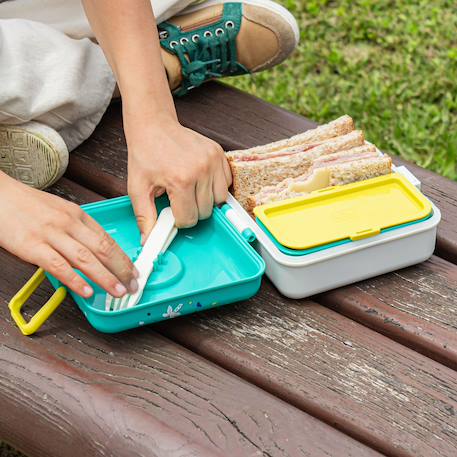 Boite à sandwich et goûter 850ml snacky Bleu dino+Bleu infinity+Bleu wolf+Cannelle fox+Rose birds+Rose blush+Vert forest+Vert raccoon 6 - vertbaudet enfant 