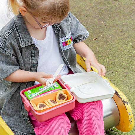 Boite à sandwich et goûter 850ml snacky Bleu dino+Bleu infinity+Bleu wolf+Cannelle fox+Rose birds+Rose blush+Vert forest+Vert raccoon 30 - vertbaudet enfant 