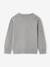 Pull Col Rond Chien gris chiné 4 - vertbaudet enfant 