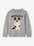 Pull Col Rond Chien gris chiné 3 - vertbaudet enfant 