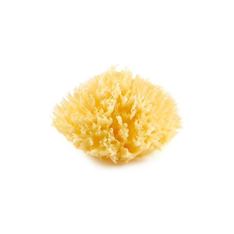 Eponge de mer honeycomb Jaune 1 - vertbaudet enfant 