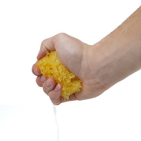 Eponge de mer honeycomb Jaune 3 - vertbaudet enfant 