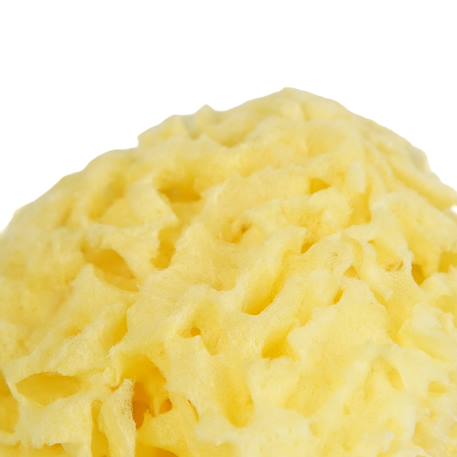 Eponge de mer honeycomb Jaune 4 - vertbaudet enfant 