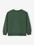 Sweat noël Pokémon garçon coton vert sapin 2 - vertbaudet enfant 