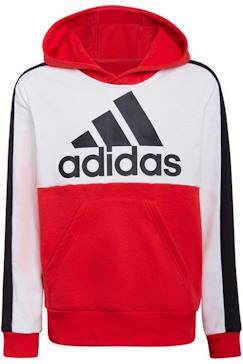 -Sweat à capuche coton