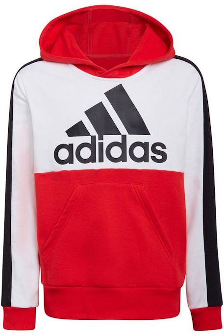 Garçon-Pull, gilet, sweat-Sweat à capuche coton