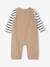 Ensemble T-shirt + combinaison rayé noix de pécan 4 - vertbaudet enfant 