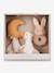 Coffret Cadeau - Forest friends+Little Farm+multicolore+rose poudré 17 - vertbaudet enfant 