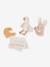 Coffret Cadeau - Forest friends+Little Farm+multicolore+rose poudré 18 - vertbaudet enfant 