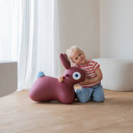 Ballon sauteur hoppi lapin bleu Beige, blanc+Bleu+Bordeaux 12 - vertbaudet enfant 