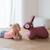 Ballon sauteur hoppi lapin bleu Beige, blanc+Bleu+Bordeaux 13 - vertbaudet enfant 