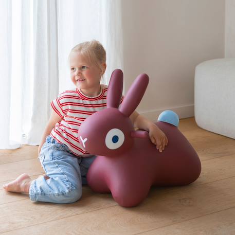 Ballon sauteur hoppi lapin bleu Beige, blanc+Bleu+Bordeaux 14 - vertbaudet enfant 