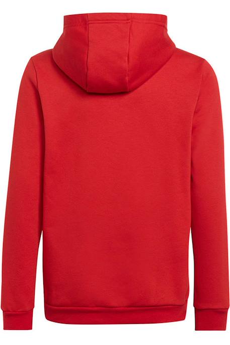Sweat à capuche - Coton - Entrada 22 Noir+Rouge 4 - vertbaudet enfant 