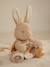 Peluche d'activités Lapin - Newborn beige 1 - vertbaudet enfant 