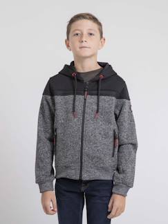 -Sweat zippé capuche wildomax garçon