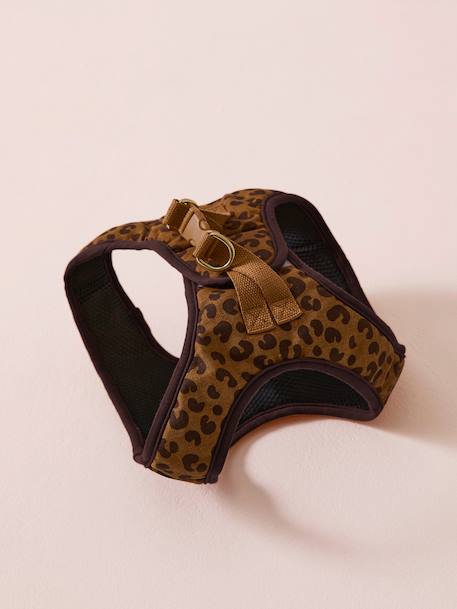 Set promenade pour chien : harnais + laisse + collier café 11 - vertbaudet enfant 