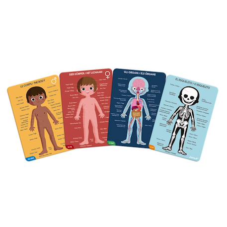 Puzzle géant le corps humain 350pièces Multicolore 3 - vertbaudet enfant 