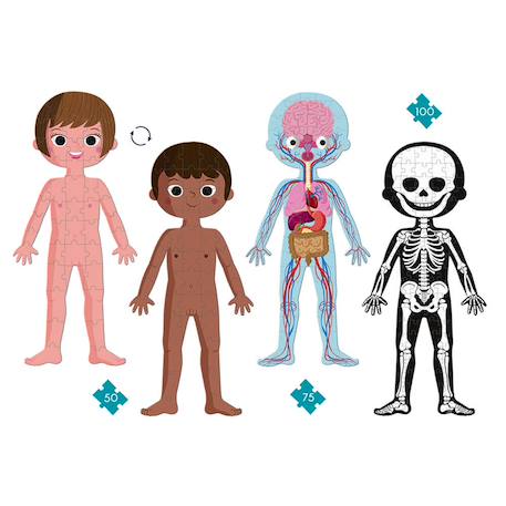 Puzzle géant le corps humain 350pièces Multicolore 2 - vertbaudet enfant 