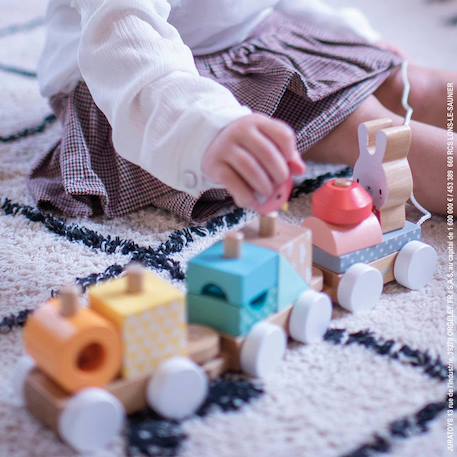 Train pure Multicolore 2 - vertbaudet enfant 