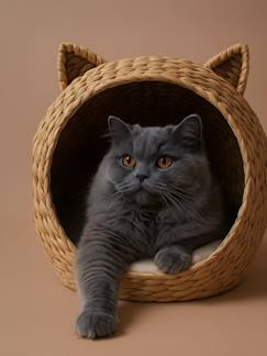 Linge de maison et décoration-Décoration-Panier pour chat en jacinthe d'eau
