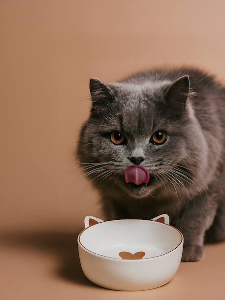 Lot de 2 gamelles pour chat en céramique blanc imprimé+écru 2 - vertbaudet enfant 