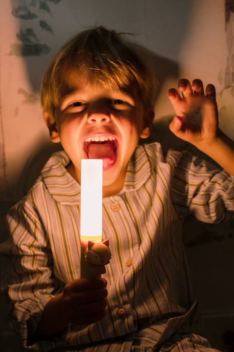Zoo light renard Beig 5 - vertbaudet enfant 