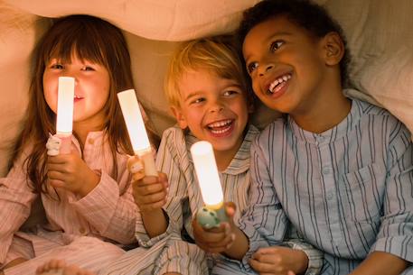 Zoo light renard Beig 4 - vertbaudet enfant 