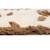 Tapis chambre enfant coton lavable petit chat little charlie Ecru et caramel 5 - vertbaudet enfant 