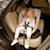 Siège auto isofix enfant réglable Beige+Gris+Noir 14 - vertbaudet enfant 