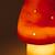 Petite lampe veilleuse champignon Blanc, beige+Bleu+Bleu 2+Rouge+Rouge 1 26 - vertbaudet enfant 