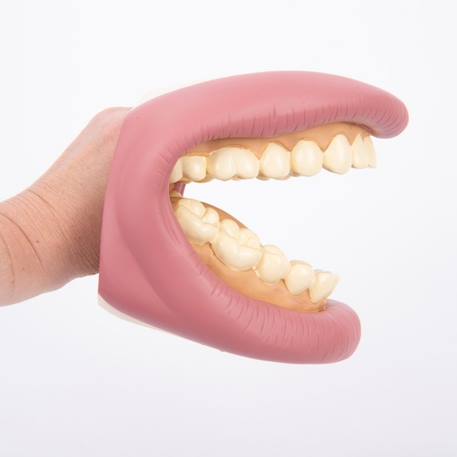 Kit géant de démonstration dentaire Rose 4 - vertbaudet enfant 