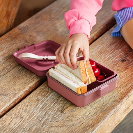 Boite à sandwich et goûter 850ml snacky Bleu dino+Bleu infinity+Bleu wolf+Cannelle fox+Rose birds+Rose blush+Vert forest+Vert raccoon 36 - vertbaudet enfant 