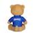 Peluche FFF Equipe de France de football, ours maillot 24 cm Blanc 3 - vertbaudet enfant 