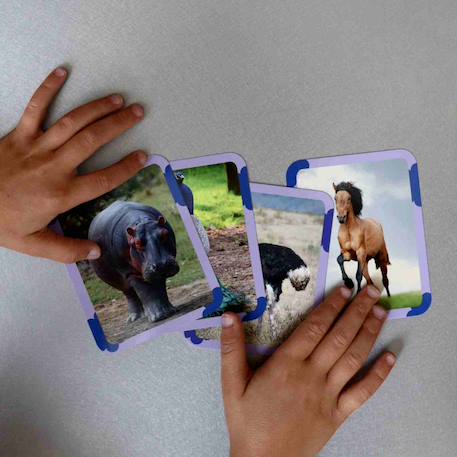 Mes 40 premiers mots: animaux MULTICOLORE 3 - vertbaudet enfant 