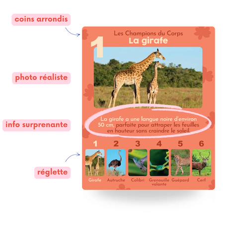 Jeu de 7 familles, les animaux rigolos MULTICOLORE 5 - vertbaudet enfant 