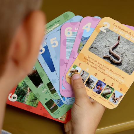 Jeu de 7 familles, les animaux rigolos MULTICOLORE 3 - vertbaudet enfant 