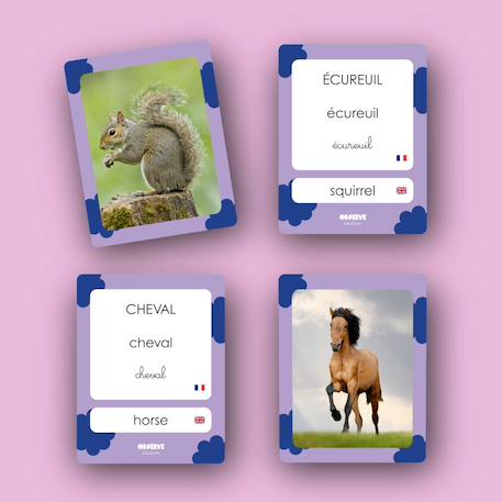 Mes 40 premiers mots: animaux MULTICOLORE 2 - vertbaudet enfant 